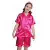 Ammiko Pajamas Satin Pajama Set Silk Pjs Button-Up Top and