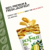 Far's Orchard Jackfruit Chips – 4 Pack (2 oz Resealable Bags), Exotic Crunchy