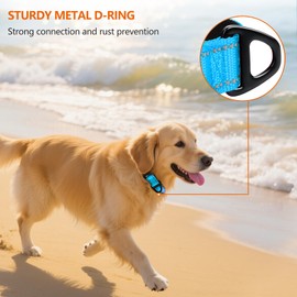 Taglory Reflective Nylon Dog Collar with Safety Buckle, Adjustable Pet Collars with Soft Neoprene Padding for Large Dogs, Sky Blue
