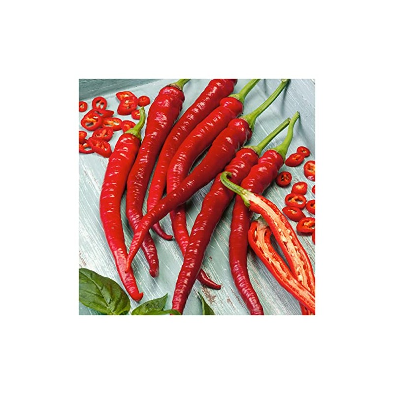Everwilde Farms - 1/4 Lb Cayenne Long Red Hot Pepper