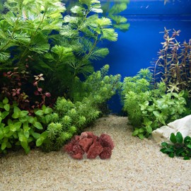 BESPORTBLE Aquarium Red Stone: 500g Fish Tank Volcanic Stones for Marine and Freshwater Aquariums, Red Volcanic Rock