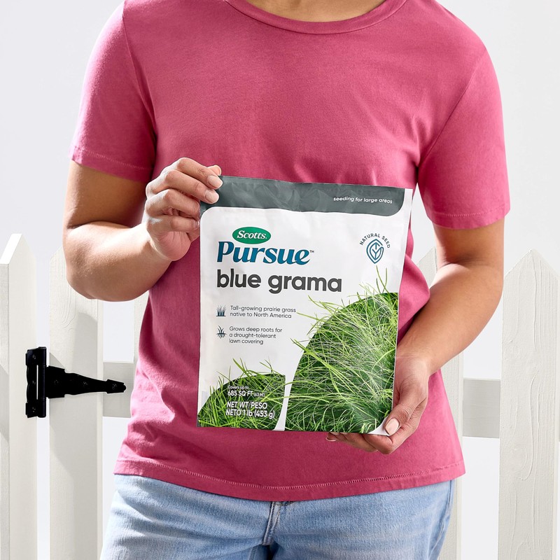 Scotts Pursue Blue Grama with Natural Seed, Seeding for Large