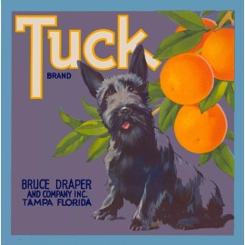Tampa Florida Tuck Scottish Terrier Dog Orange Citrus Fruit Crate Label Print