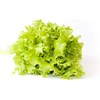 800 Lettuce Four Seasons Seeds – 30 Days, Heirloom, Non-GMO