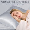 LULUSILK Silk Pillow Cases 2 Pack with Hidden Zipper, Silvergrey