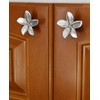 Costello Coastal - Plumeria Cabinet Knobs 2-Pack (Small)| Frangipani Flower