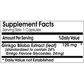 Ginkgo Biloba Standardized Extract 120mg 24% Glycosides // 100 Capsules // Pure // by PureControl Supplements