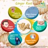 Ginger Root (Sunthi) Capsule