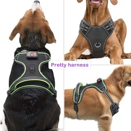 Vizbrite Light Up Dog Harness, No Pull LED Dog Harness with Handle, Rechargeable Lighted Safety Vest for Small Medium Large Dogs, Adjustable Soft Dog Lights for Night Walking