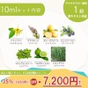 Aromatherapy Test Grade 1 Learning While Using Essential Oils, 3.4