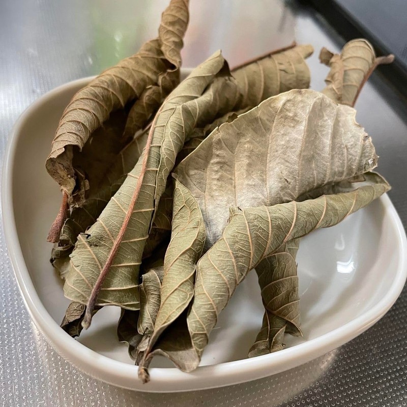 Yakushima Guava Tea (Siduum Tea) 60g (100% Guava Tea) Made