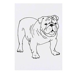 'British Bulldog' Temporary Tattoo - Water Resistant, Skin-Safe, Non-Toxic Transfer (TO00051550)