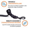 Floxik Double Lead Complete Set, Large, Flexible, Reflective Premium Dog