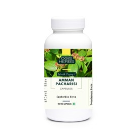 YOGIS HERBS Amman Pacharisi Capsules (Euphorbia hirta) | Herbal Supplement for Respiratory Wellness, Immune Support & Seasonal Comfort | Non-GMO, Gluten-Free | 90 Vegan Capsules