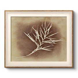 VIYYIEA Framed Wall Art for Living Room, Herbarium Canvas Prints, Vintage Home Decor, Flowers Painting Picture, Bathroom Wall Decor Gifts for Friends or Family -【Herbarium】-(12L x 10W)