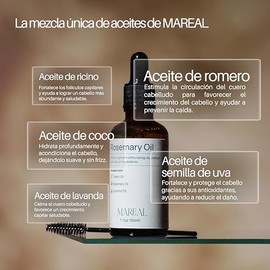 Aceite de Romero Orgánico para El Crecimiento Del Cabello | Con Aceite de Coco Y Castor Oil | Perfecto para Cabello Seco, Dañado Y Fino | Textura Lige