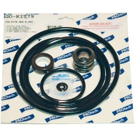 Aladdin Equipment GOKIT79 Sta Rite Max E-Pro Go Kit