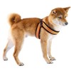 Ferplast Harness for Medium Dogs AGILA Reflex 6 Dog Harness