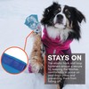 Non-stop dogwear Long Distance Boots, 4 Pack Dog Boots Winter