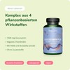 Glucosamine Chondroitin High Dose & Vegan | 1000 mg Glucosamine
