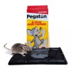 Pegaton Trampas Para Ratas Trampas Ratones Trampa Para Ratas Grandes