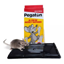 Pegaton Trampas Para Ratas Trampas Ratones Trampa Para Ratas Grandes