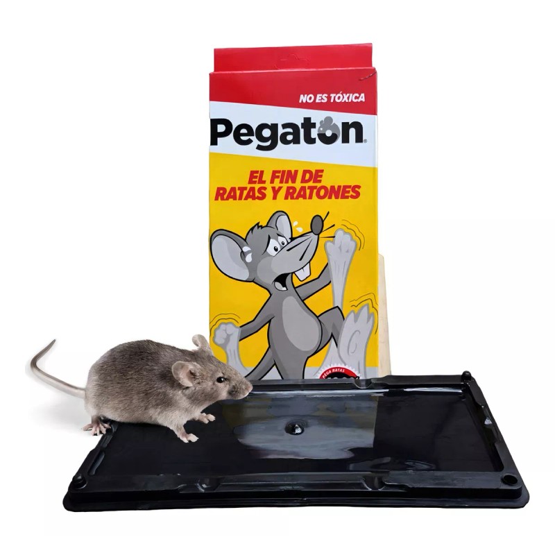 Pegaton Trampas Para Ratas Trampas Ratones Trampa Para Ratas Grandes