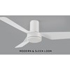 Carro 44 Inch Ceiling Fan without Lights Flush Mount, Small