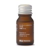 MUJI 44904183 Hinoki Cypress Essential Oil 0.3 fl oz (10