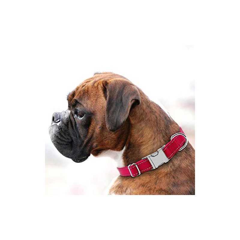Love Dream Collar reflectante para perro con hebilla de metal,