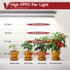 Vshape T8 Grow Light for Indoor Plants, 2FT, 24W, 5000K,