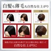 FUSARI Hair Foundation, Gray Hair, Thin Hair, Gray Hair (Black)