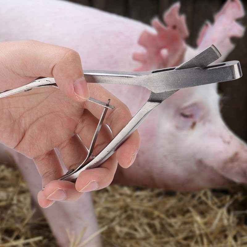 Livestock Ear Notcher, Stainless Steel Pig Ear Plier Ear Notcher