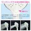 GAONA GA-FC024 Magicayo Ariene Shower Head, One-Touch Switching, Bi-Color (Water
