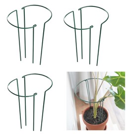 6 Pack 15.8 Inch High Plant Stake,Garden Plant Support,Half-Round Peony Cage Plant Ring Hoop