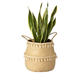 Artera Woven Seagrass Plant Basket - Wicker Belly Basket Planter Indoor with Plastic Liner and Handles, Natural Plant Pot for Fiddle Leaf Fig Tree, Snake Plant (M, Natural with Tassel Macrame)