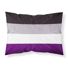 Caroline's Treasures CK8009PILLOWCASE Asexual Pride Fabric Standard Pillowcase Lightweight Super Soft Easy Care Decorative Artwork Pillowcase, Standard