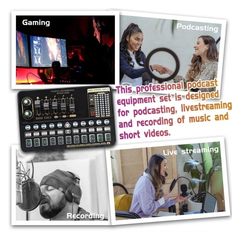 MadHornets V10 Live Sound Card & M800 Condenser Microphone for