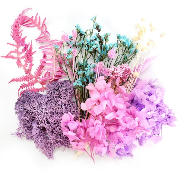 Natural Dried Flowers, Air Dried Flowers Decoration, Colour Harmonious Dried Flower Decorative Flowers, DIY Natural Dried Flowers Set, Dried Flower for Living Room Decoration (Purple)