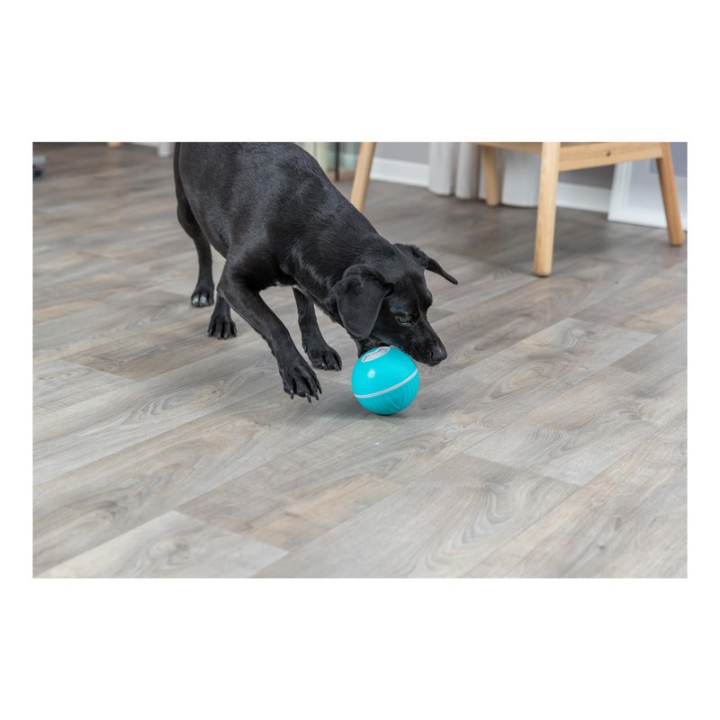 Trixie Snack Ball Dog Plastic / TPR Blue