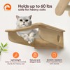 Cat Wall Shelves Furniture for Climbing - Cat House Wall