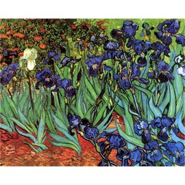 YEESAM ART Paint by Numbers for Adults, Iris Flowers by Van Gogh 16x20 Inch Linen Canvas Acrylic DIY Number Painting Kits Wall Art Decor Gifts (Without Frame)