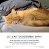 Roseye Cat Deterrent Spray for Indoor, Natural Boundary Aid, 3.38oz