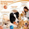 Smart jumping ball for dogs & Cats Duraspin Dog Bouncing
