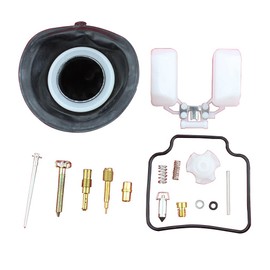 GOOFIT 30mm Carburetor Repair Kits Replacement for CN250 Elite CH250 Baja Roketa Hammerhead 250 Water Cooled 250cc ATV Scooter