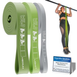 Wild Instincts Set of 3 Pull Up Bands/Fitness Bands Set/Band for Pull-Ups/Resistance Bands Set/Elastic Band Sport/Resistance Bands for Crossfit & Stretching + Bag + Training WebApp