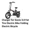 coming data AC adapter power supply battery Charger for Gocio