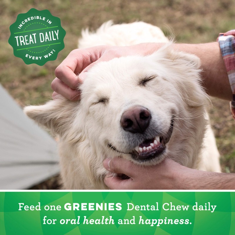 GREENIES Original Petite Natural Dog Dental Treats, 3 oz. Pack