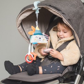 Taf Toys 12255 - Pyramide Nordpol