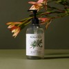 Koala Eco Natural Body Wash - Rosalina & Peppermint, 500ml